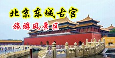 不用下载就可以看的操屌视频中国北京-东城古宫旅游风景区